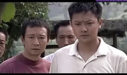 落泪成金电视剧,泪水中绽放的坚韧人生